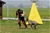 ipo3 FURFANTE RIPRODUTTORE SELEZIONATO ENCI - Triola Cane Corso